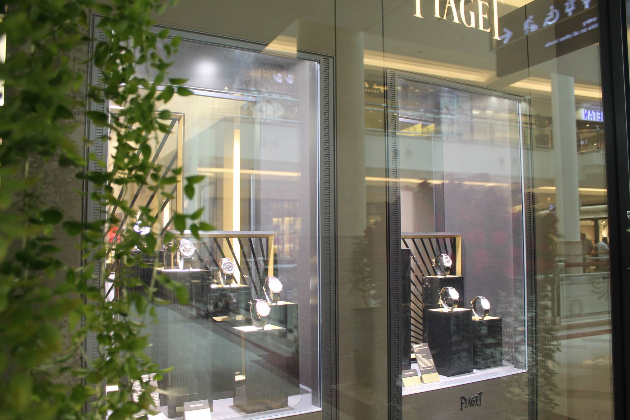 Wintergreen Flower PLT | EVENTS - Piaget
